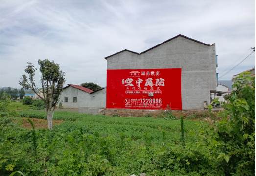 阜南做墙体广告的意义