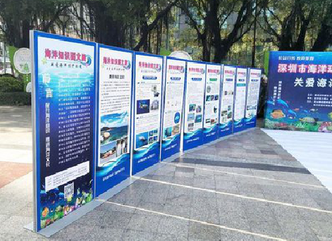 阜南KT板的种类和知识。